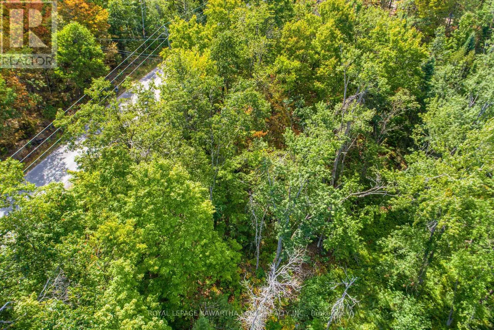 PT LOT 36 EDWINA DRIVE