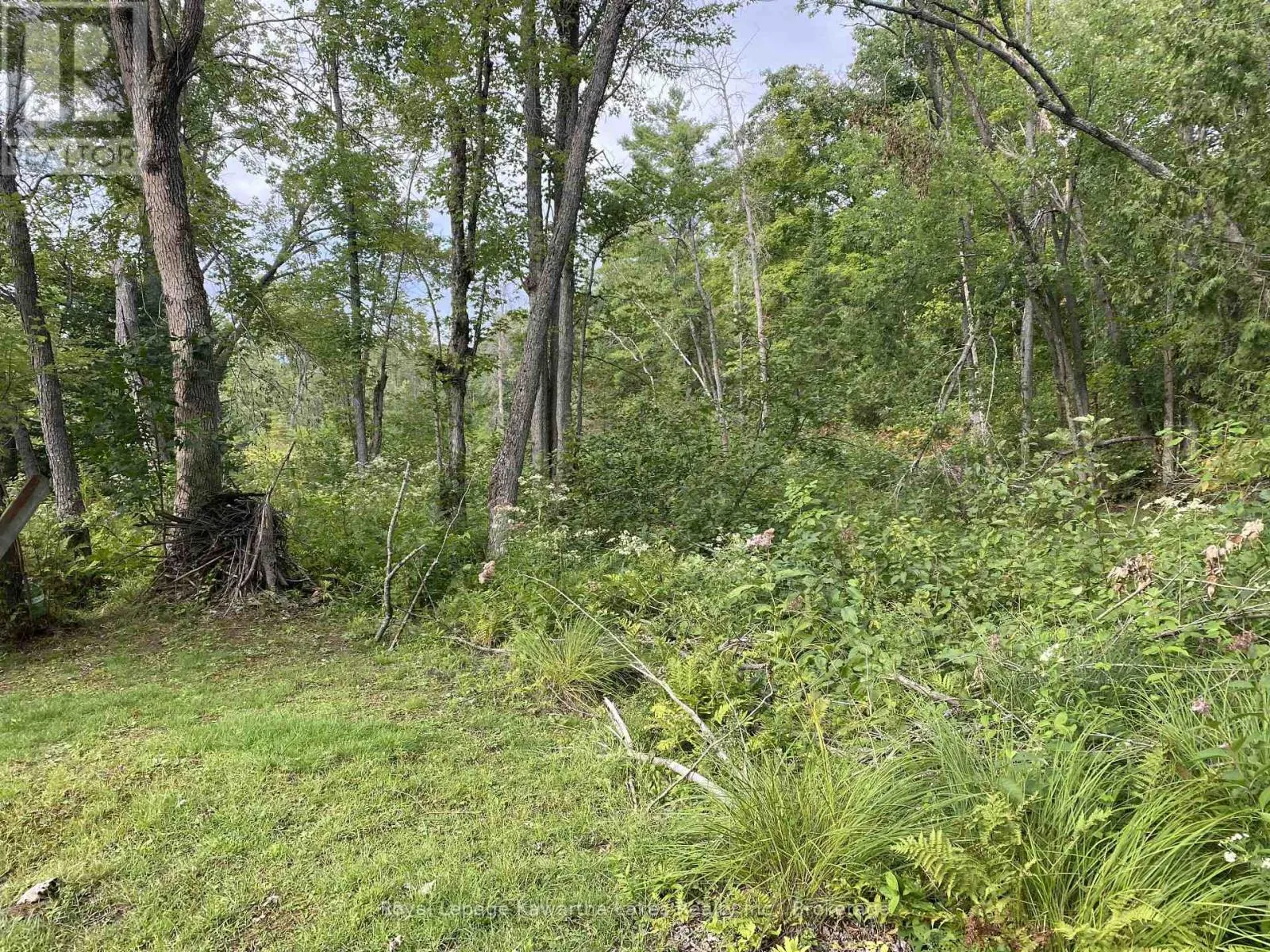 PT LOT 36 EDWINA DRIVE