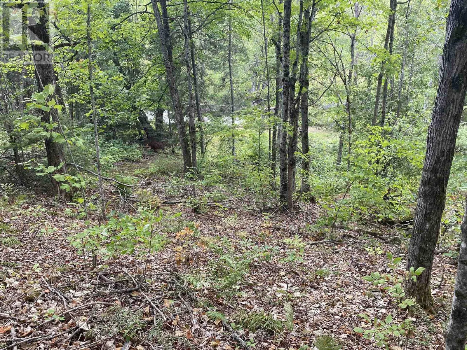PT LOT 36 EDWINA DRIVE