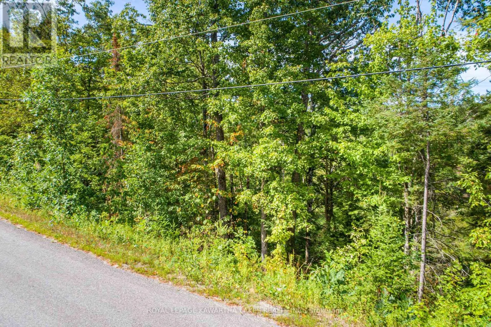 PT LOT 36 EDWINA DRIVE