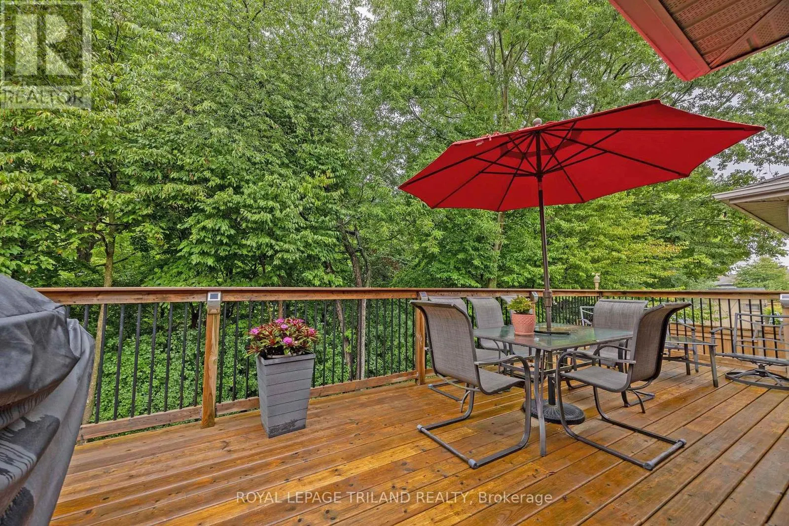 45 MC GREGOR COURT