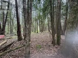 000 KENYON CONCESSION 1 ROAD