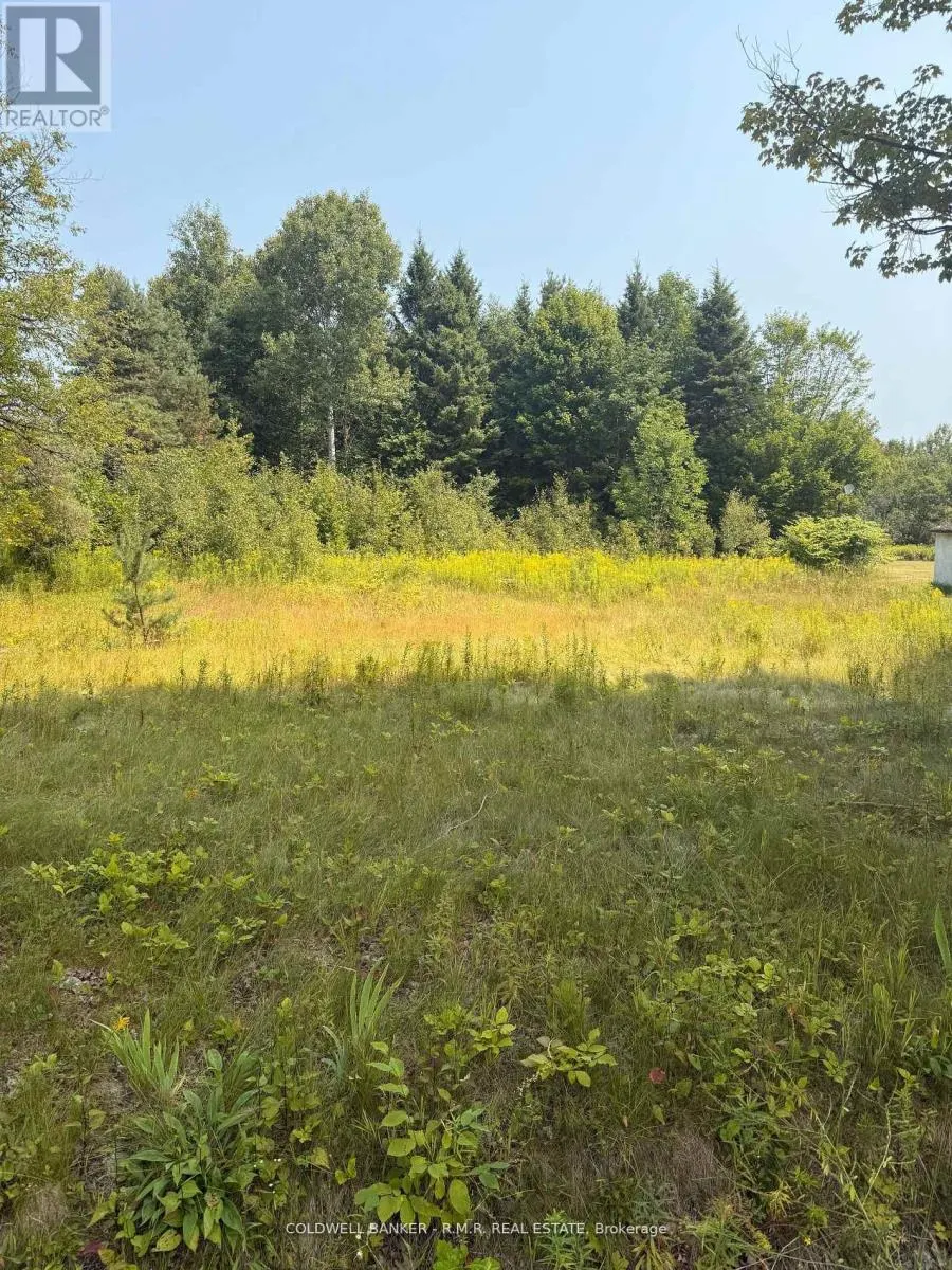 3995 BOULTER ROAD