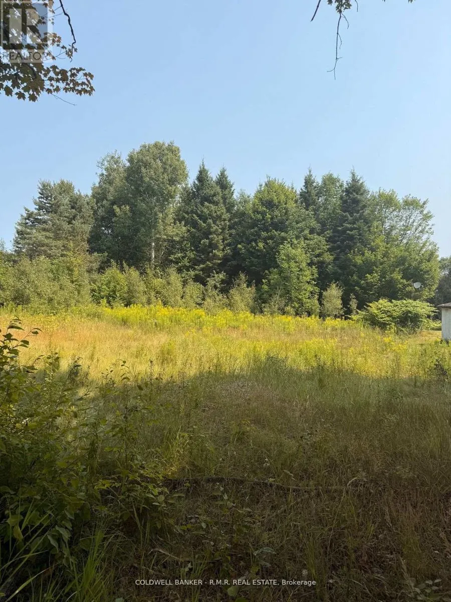 3995 BOULTER ROAD