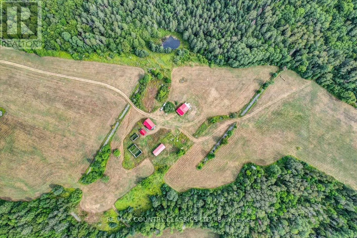 561 LETTERKENNY ROAD