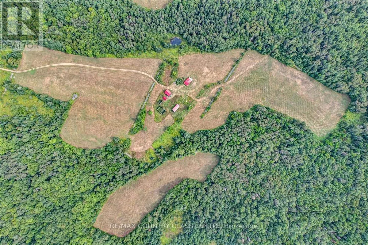 561 LETTERKENNY ROAD