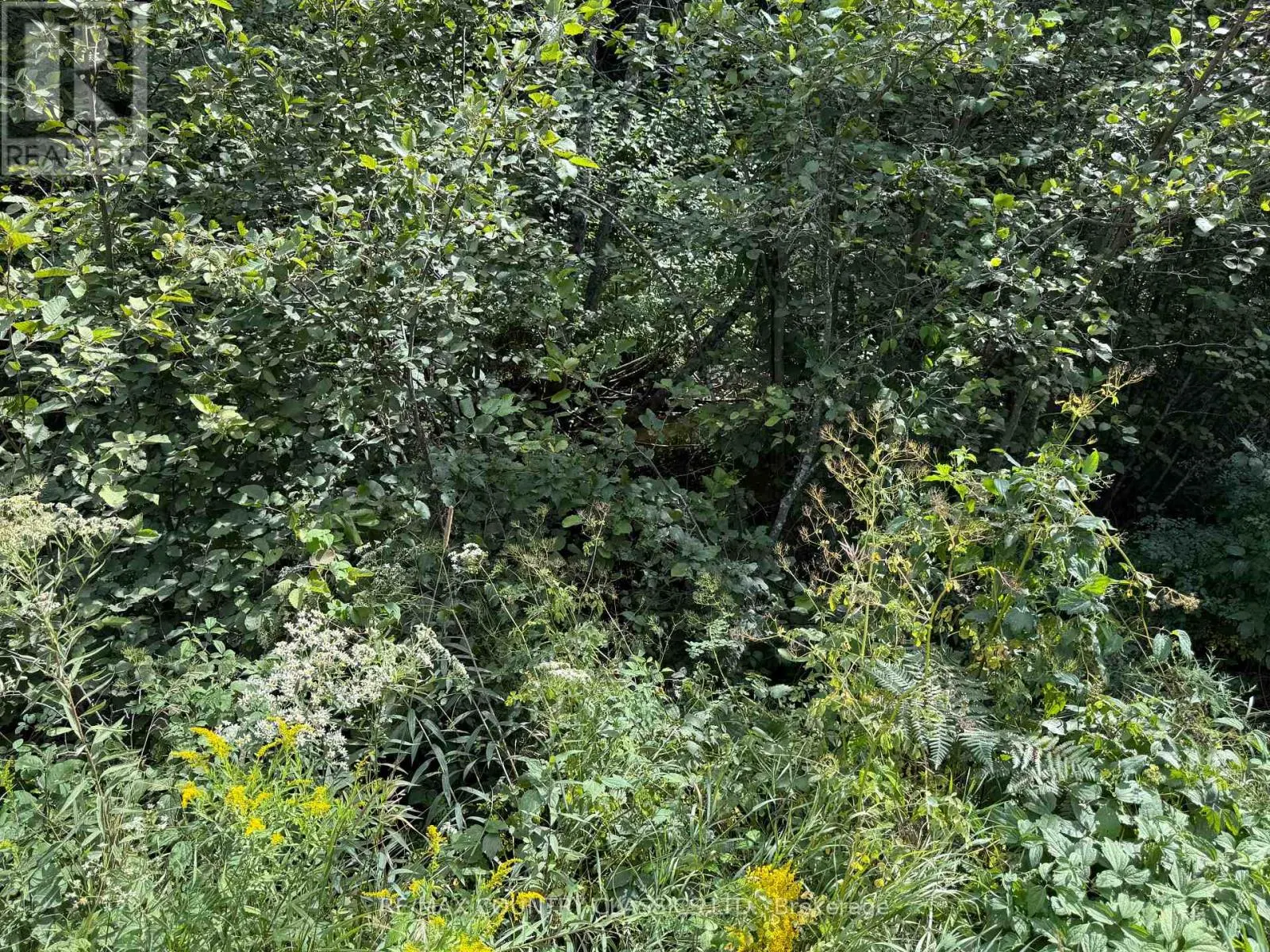 00 SCHIMMENS ROAD
