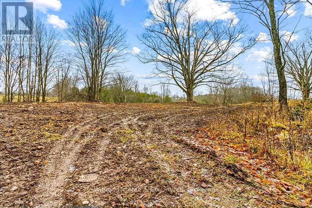 PTLT 16; PART 2 16R6350 5 SIDE ROAD