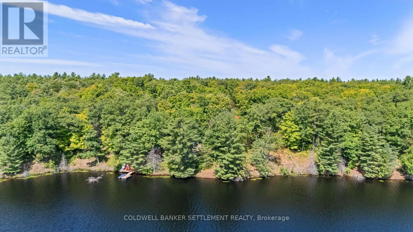 1167 LOUDEN LANE