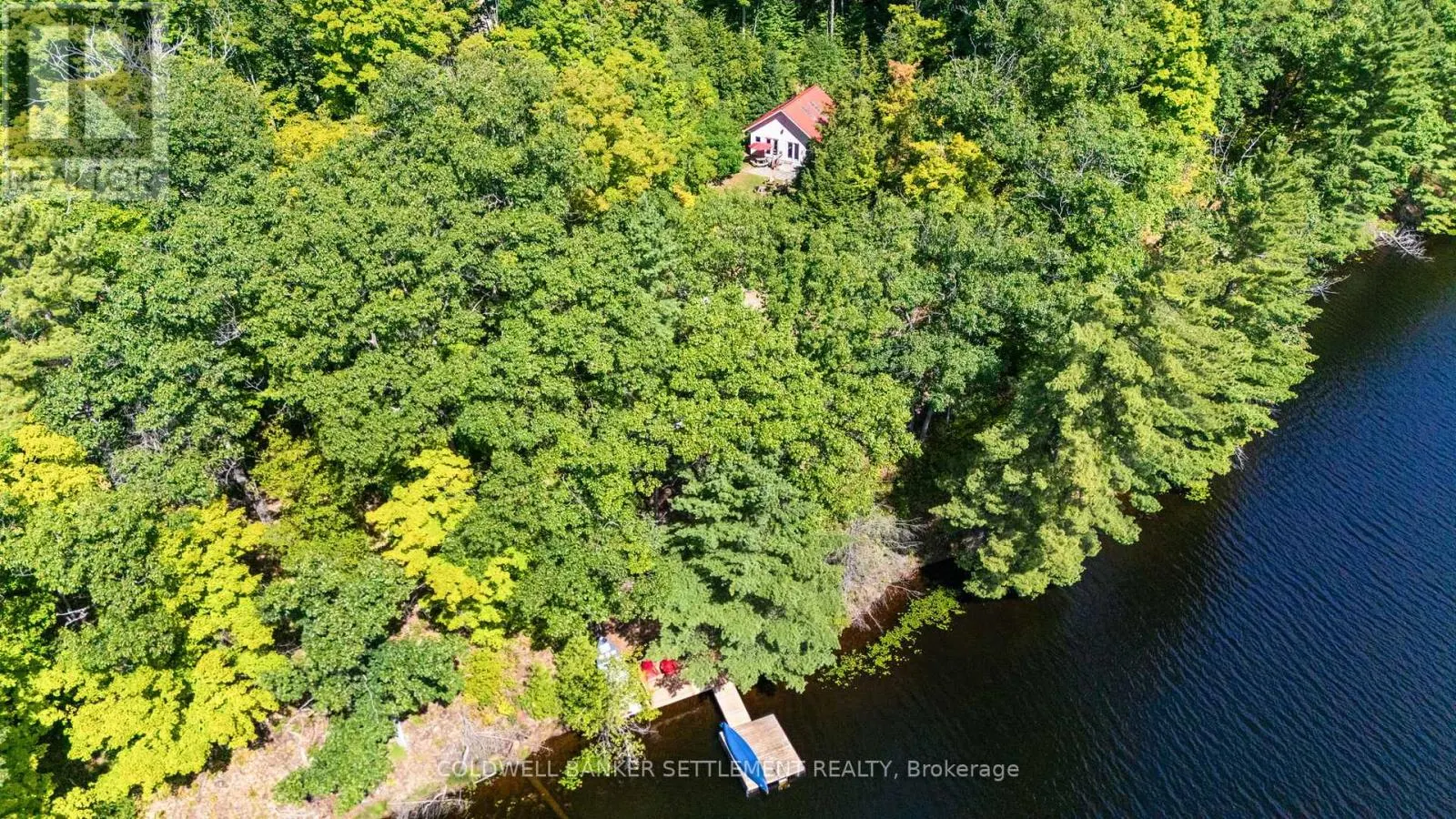 1167 LOUDEN LANE
