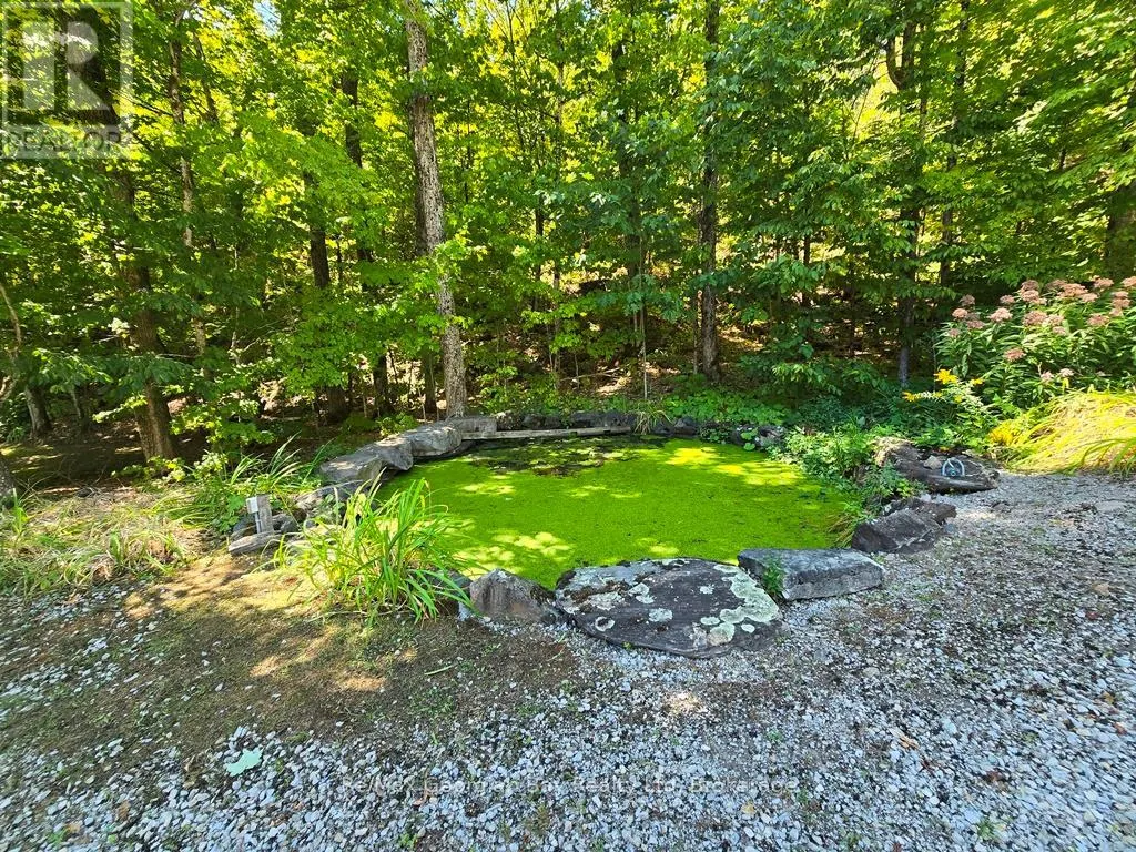135 JOHN BUCHLER ROAD