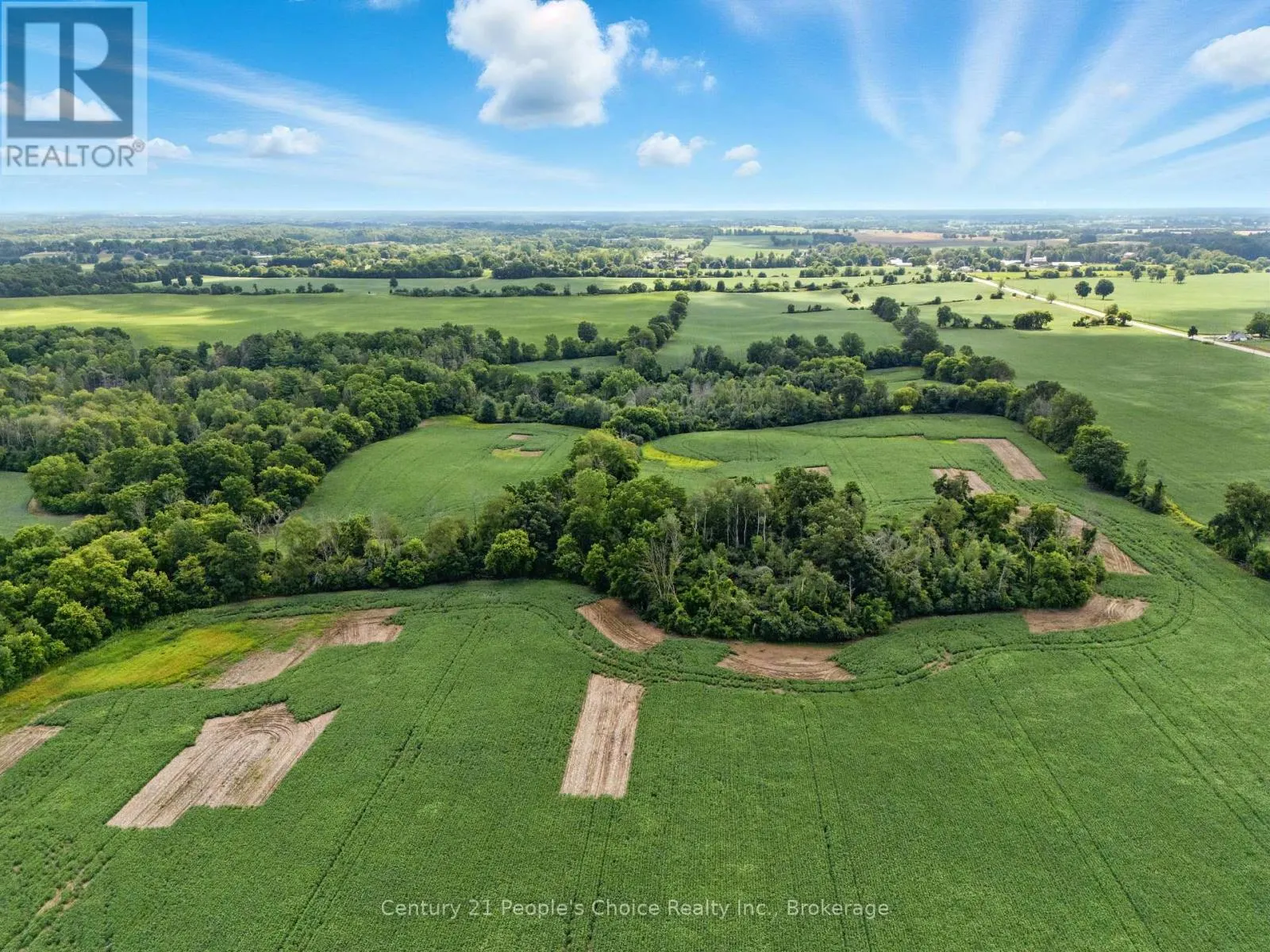 234 PLEASANT RIDGE ROAD