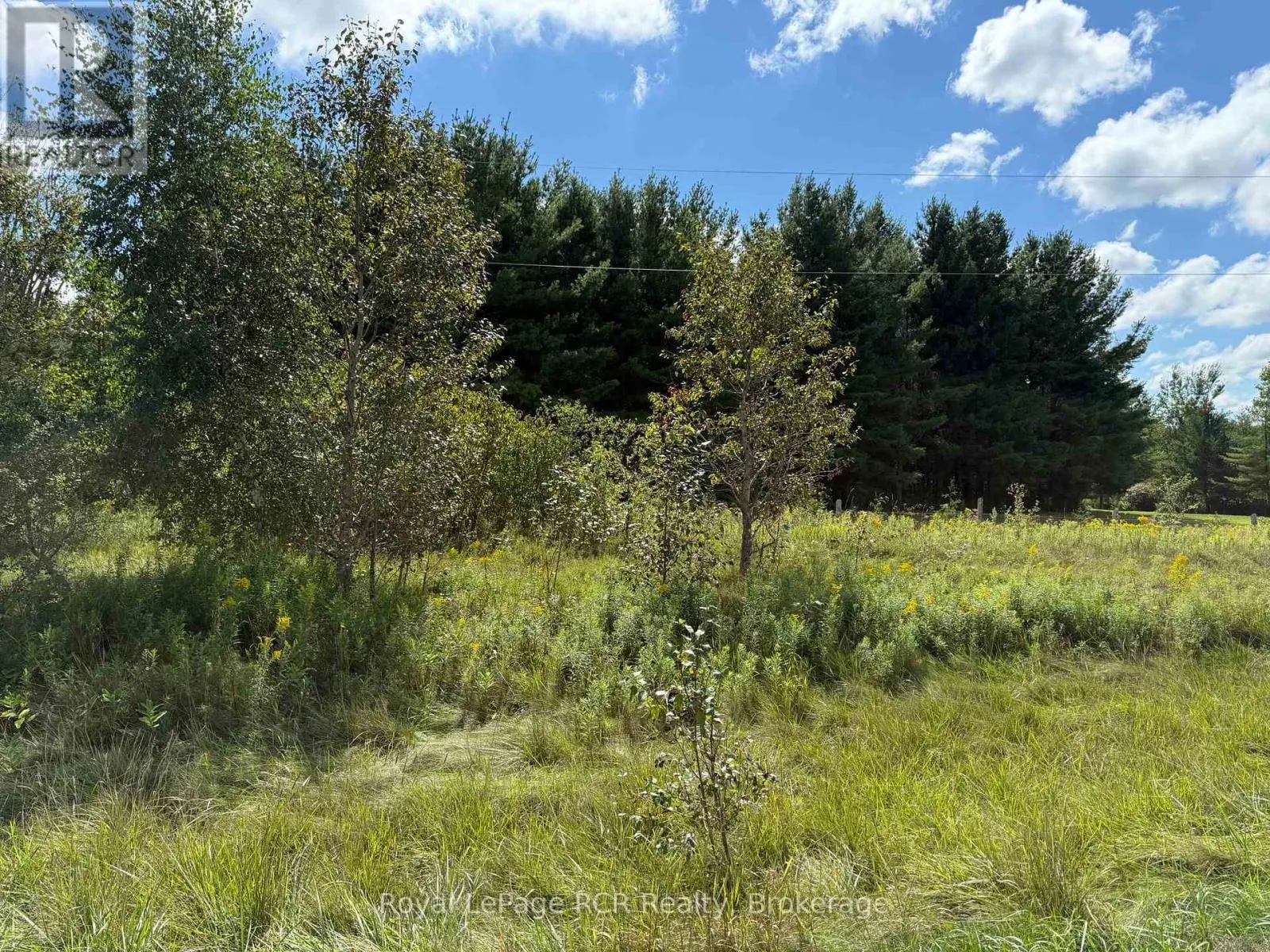 7373 SIDEROAD 5 E