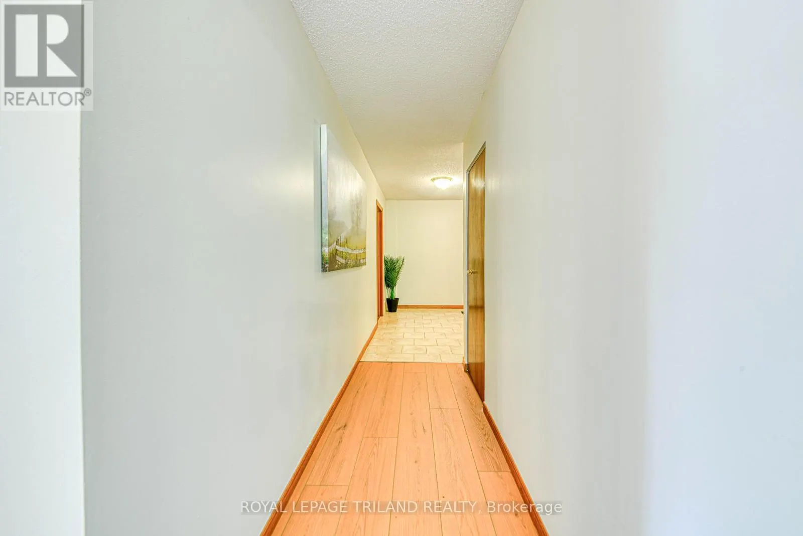 206 - 4 ALBERT STREET, #206