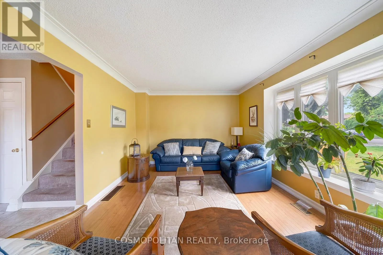 249 MAGNOLIA DRIVE