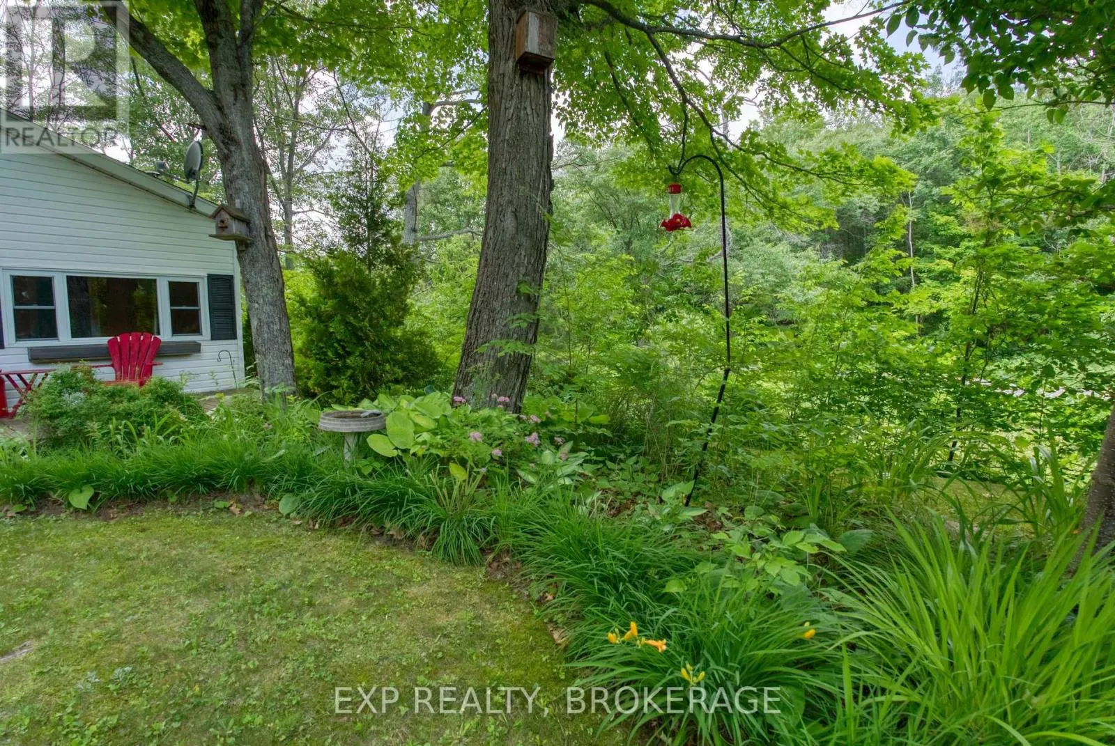 1036 LAKESHORE ROAD
