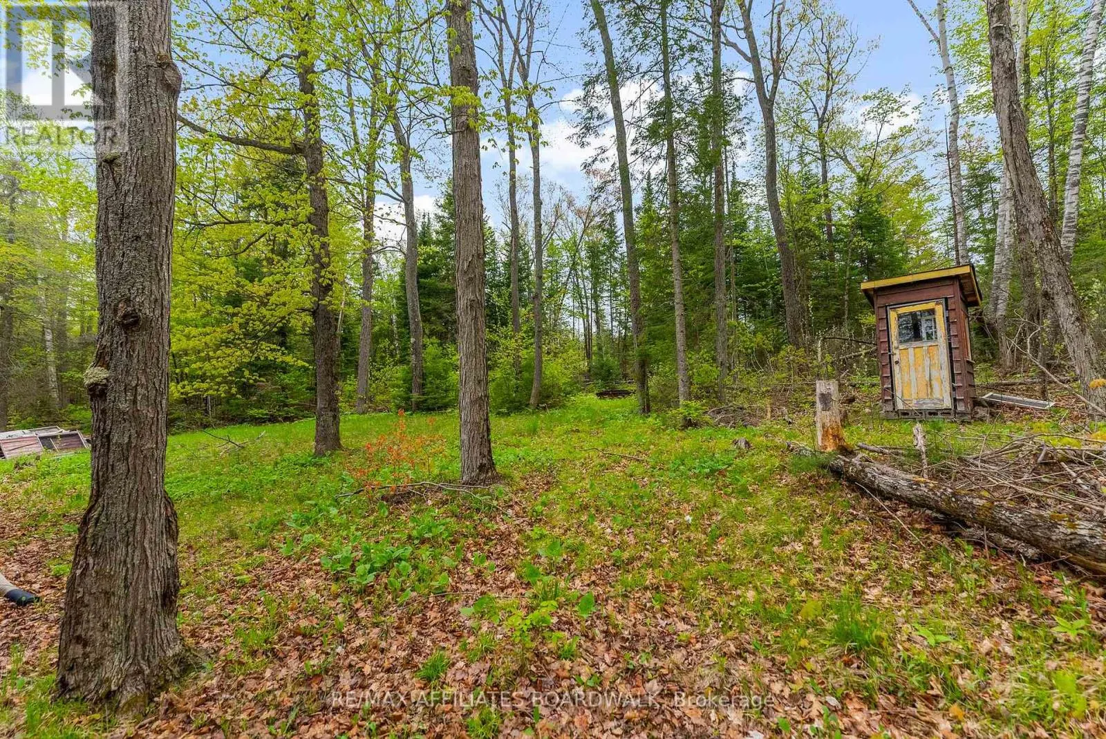 593 MAZINAW LAKE