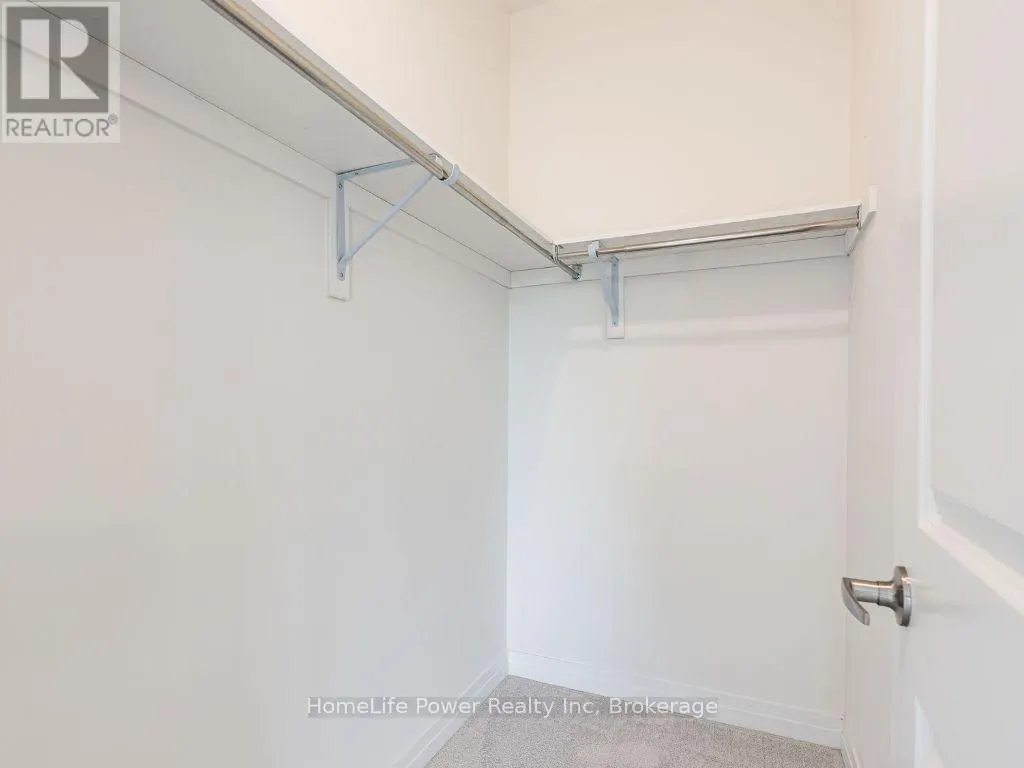 34 SIDNEY ROSE COMMON N