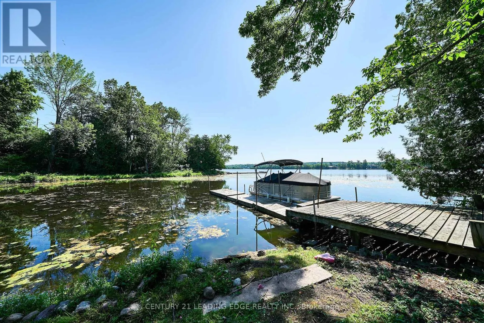 225 ARNOTT DRIVE