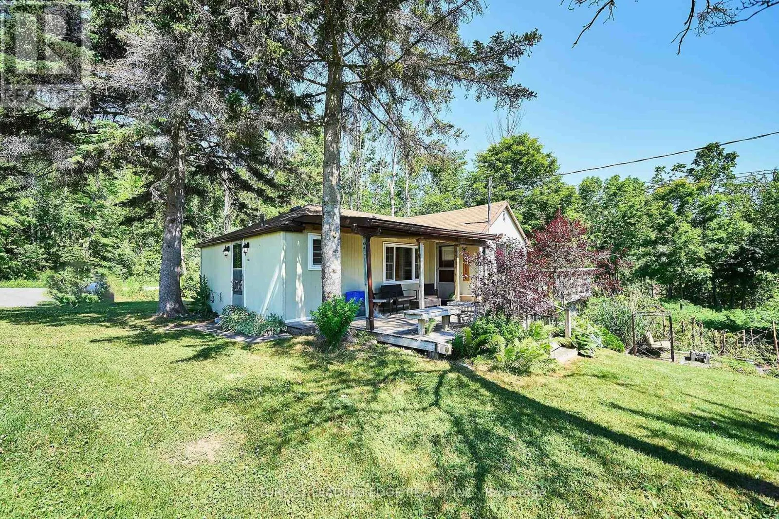225 ARNOTT DRIVE