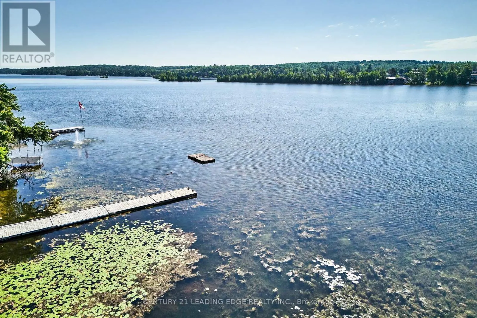 225 ARNOTT DRIVE