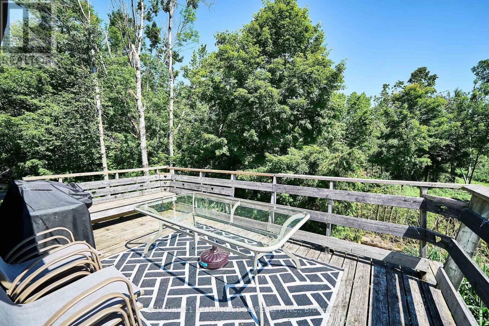 225 ARNOTT DRIVE
