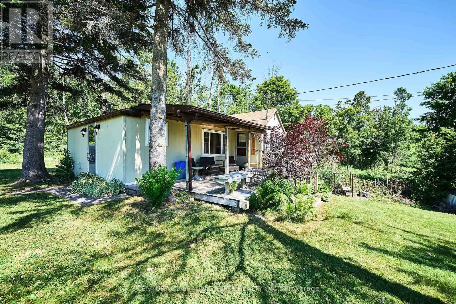225 ARNOTT DRIVE