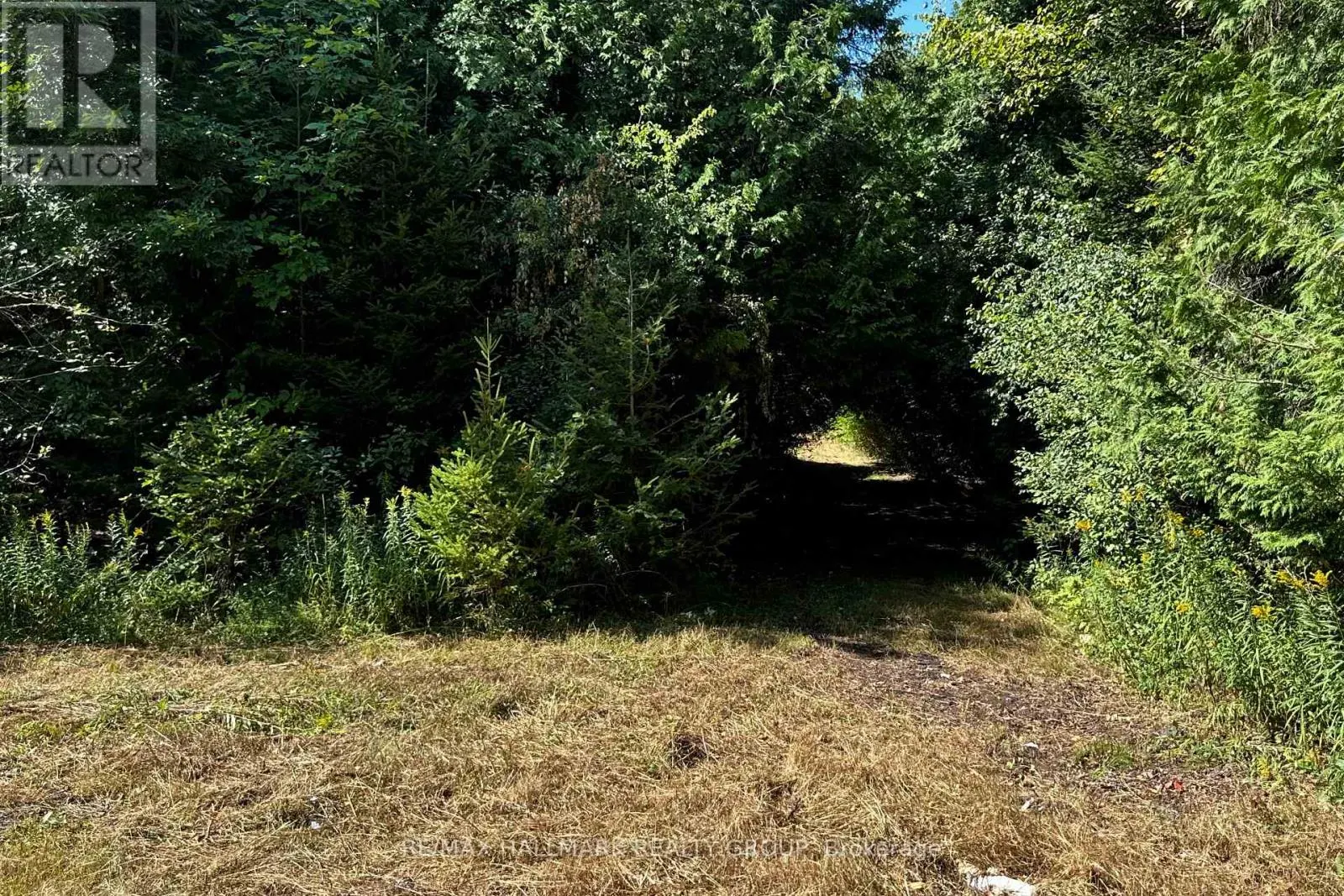 2485 MARSHWOOD ROAD