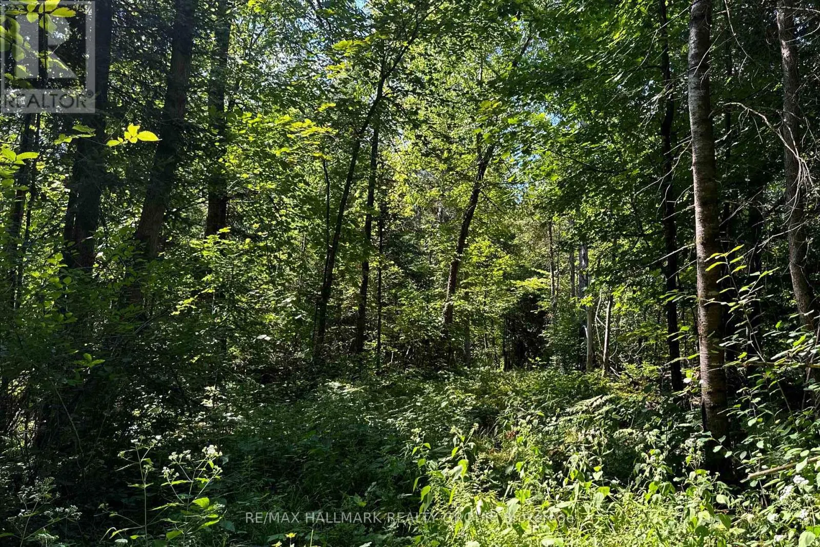 2485 MARSHWOOD ROAD