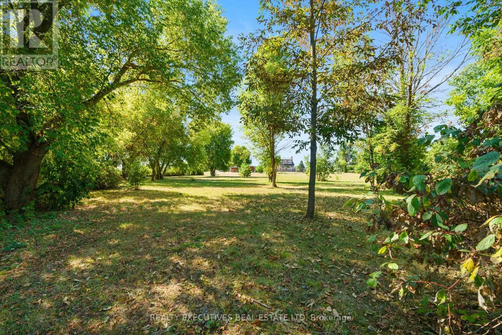 12705 MAPLE RIDGE ROAD