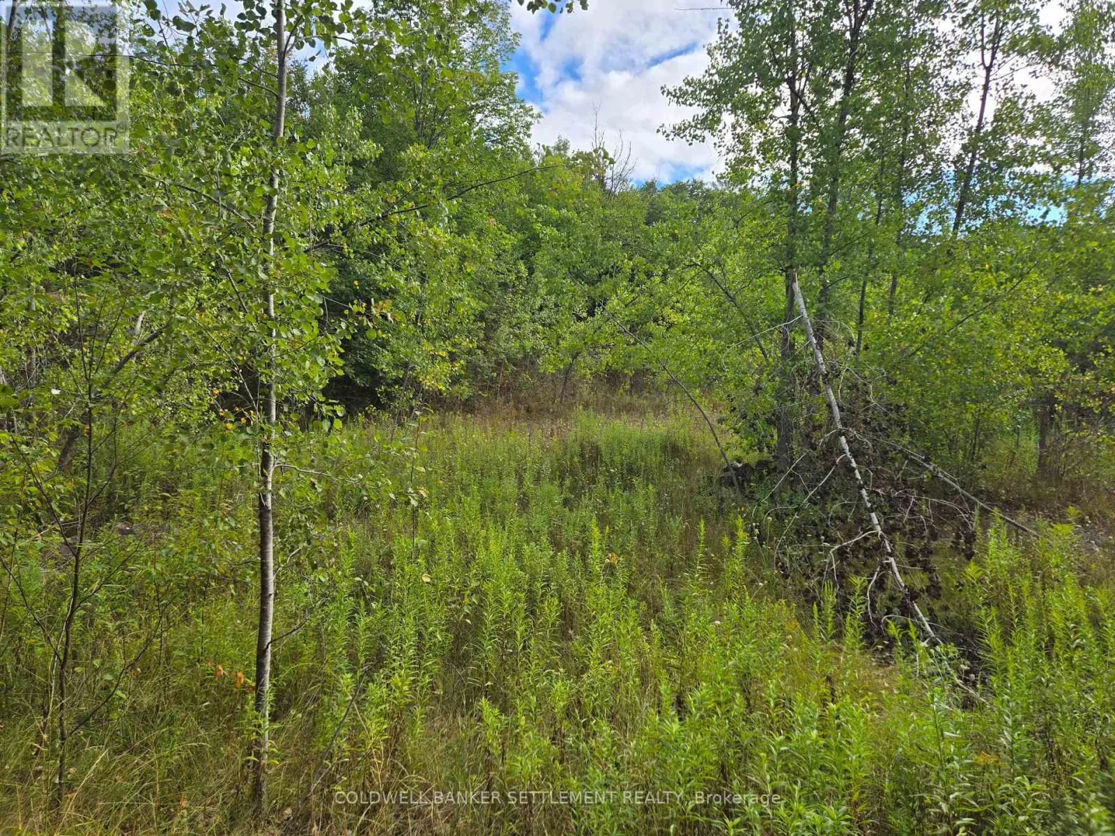0 SECOND DEPOT LAKE ROAD