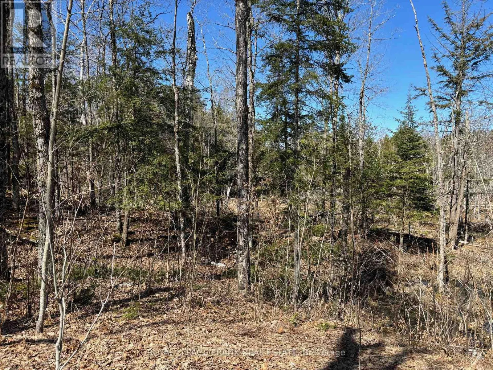 185 JULIAN LAKE ROAD