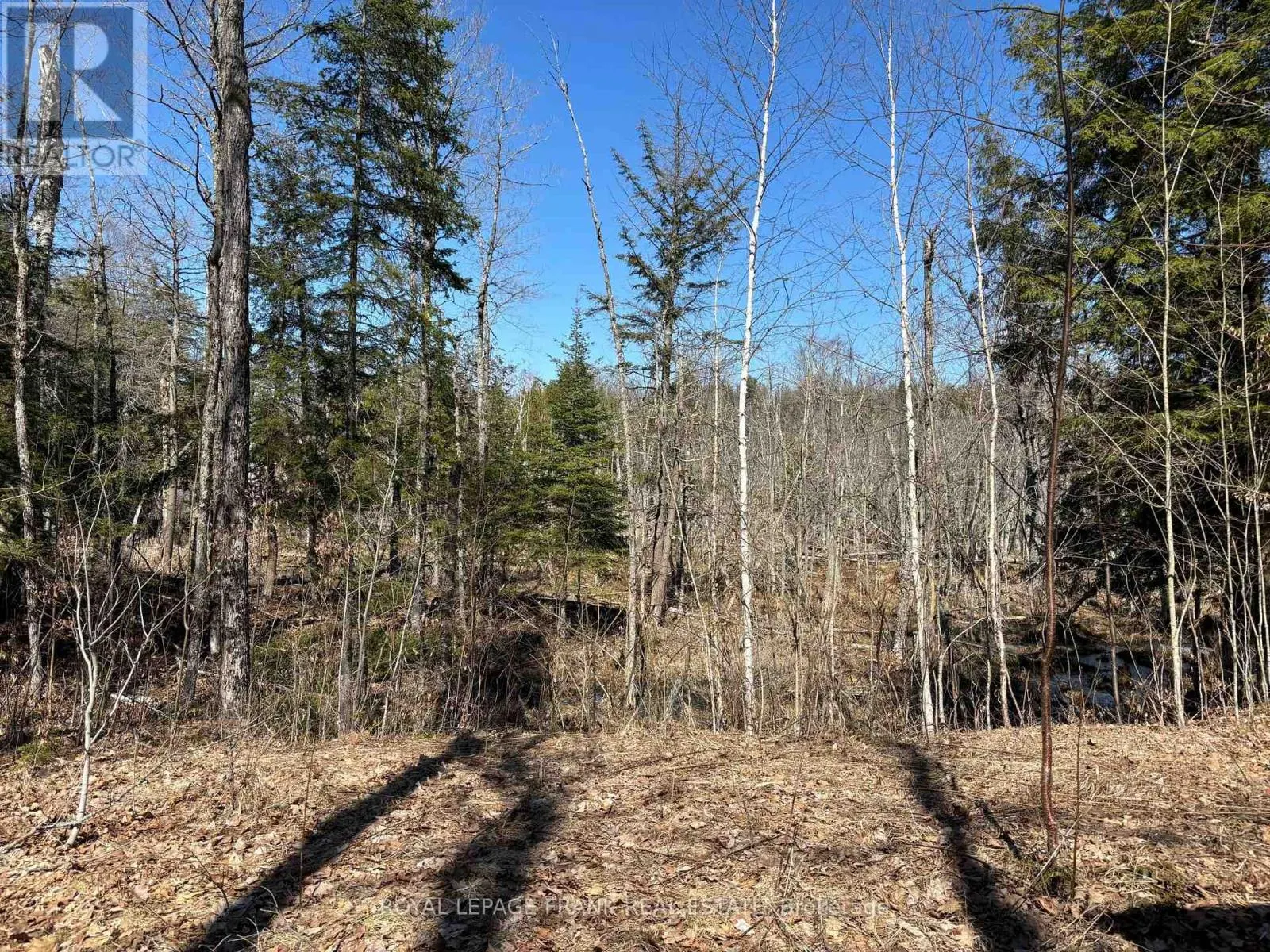 185 JULIAN LAKE ROAD