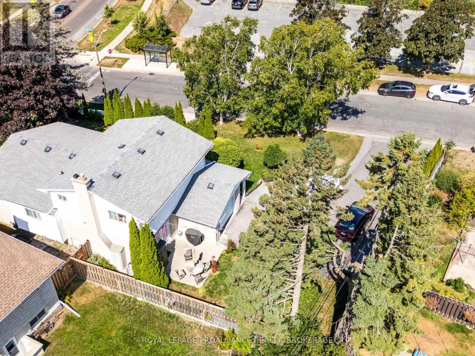 228 ROBERT WALLACE DRIVE