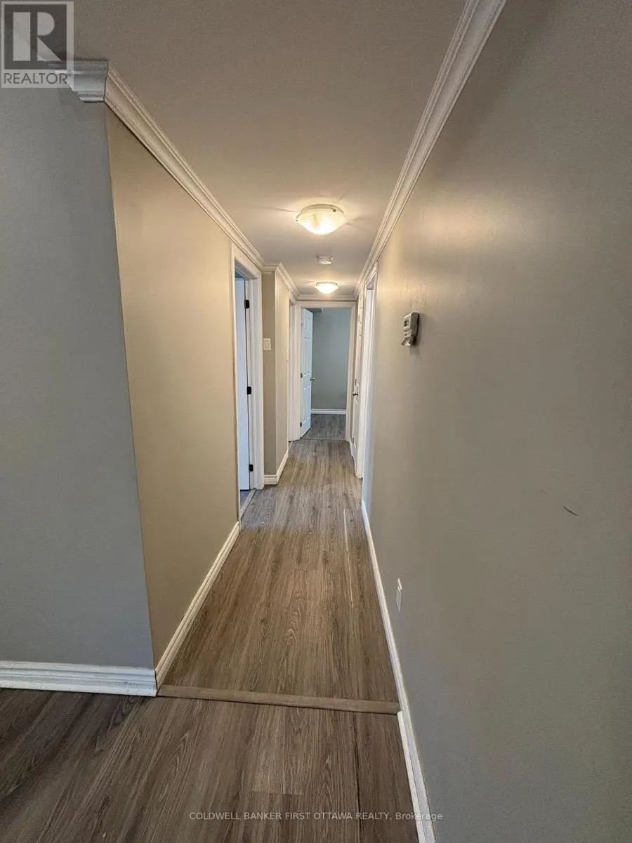 LOWER LEVEL - 54 CLOVERLOFT COURT