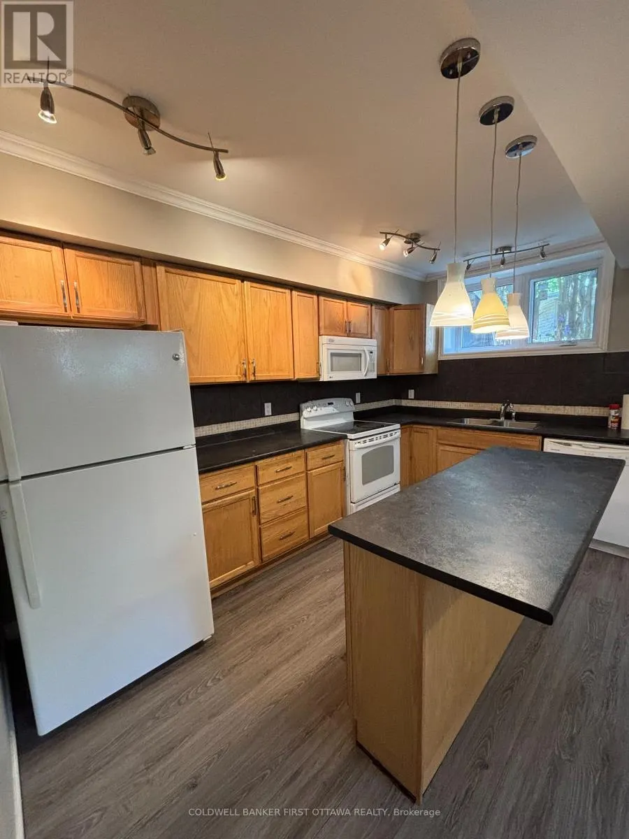 LOWER LEVEL - 54 CLOVERLOFT COURT