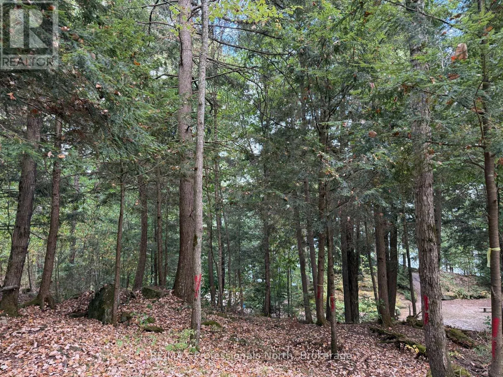 0 KENNISIS LAKE ROAD