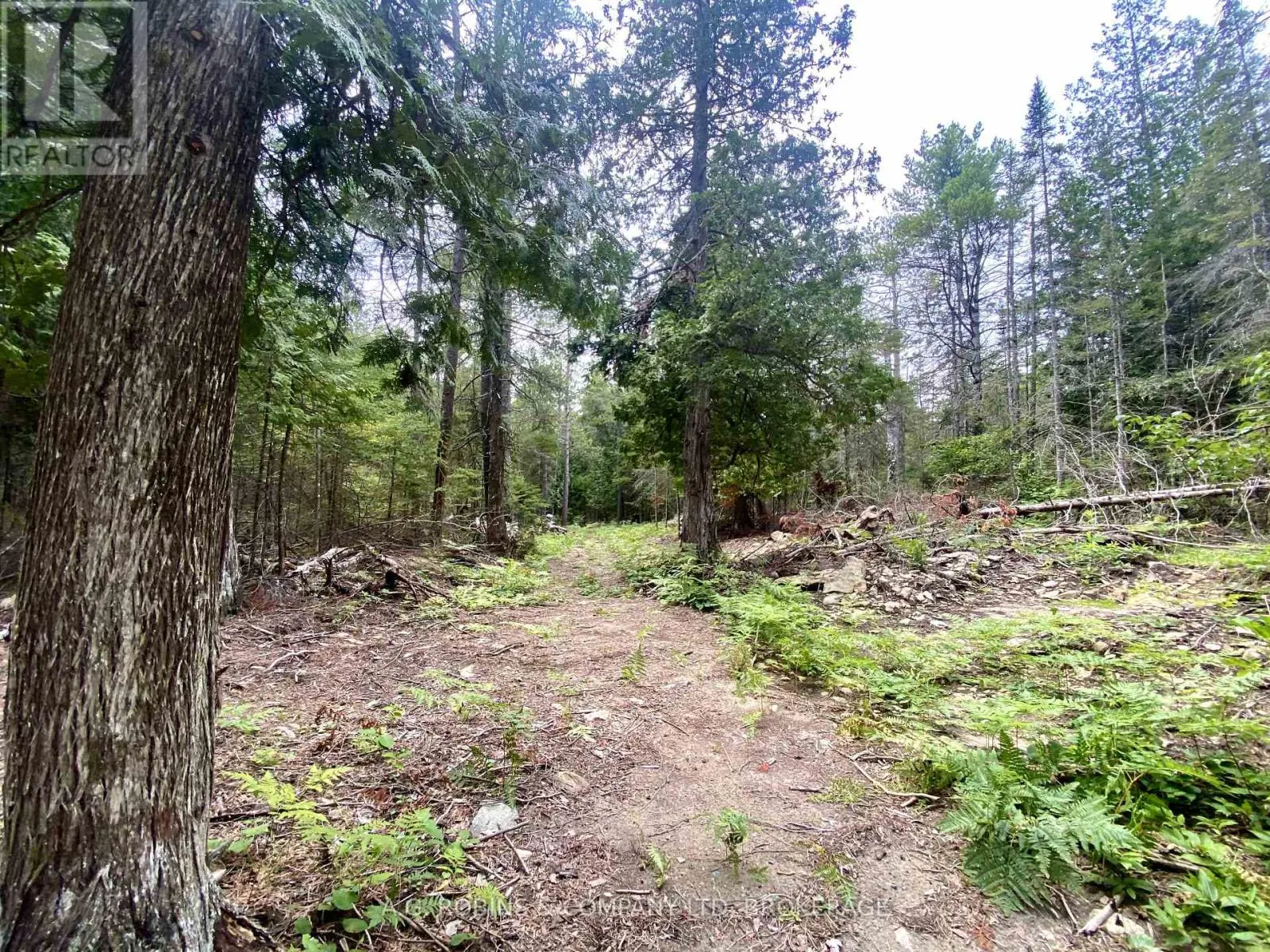 262 JOHNSONS HARBOUR ROAD