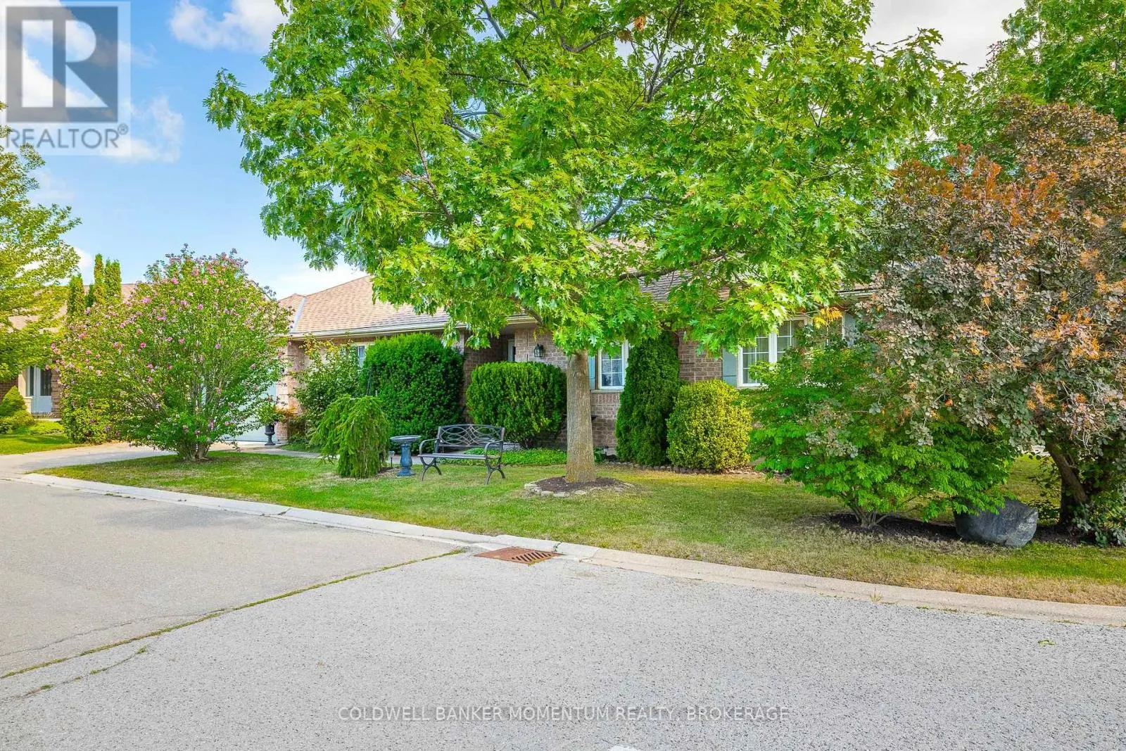 3901 RAINBOW LANE