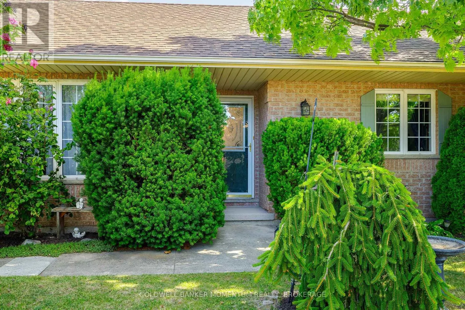 3901 RAINBOW LANE