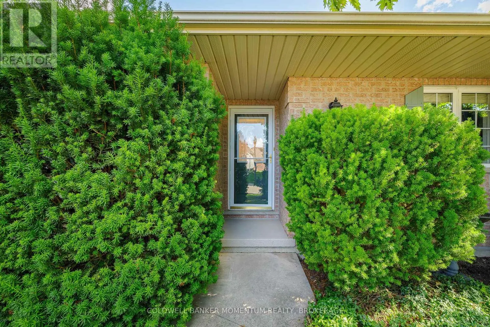 3901 RAINBOW LANE