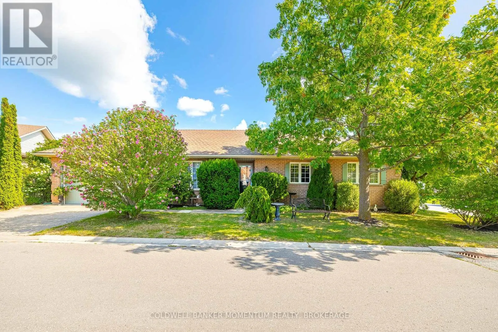 3901 RAINBOW LANE
