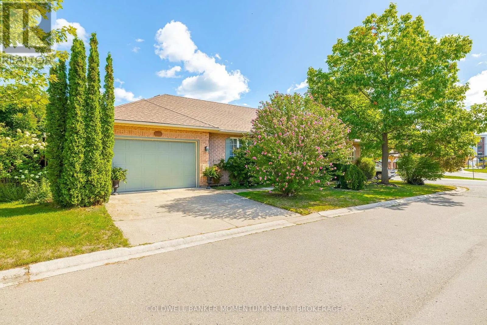 3901 RAINBOW LANE