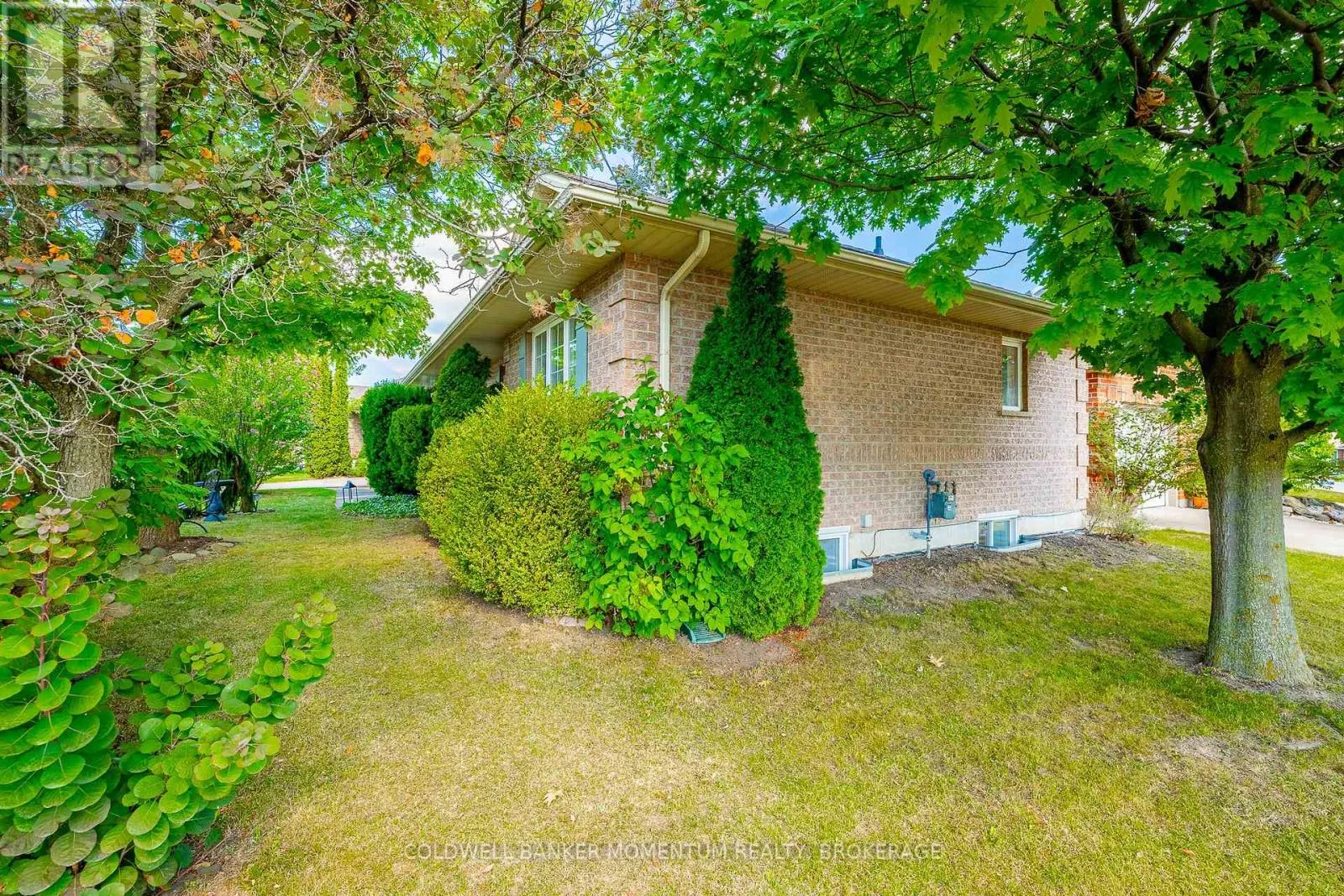 3901 RAINBOW LANE