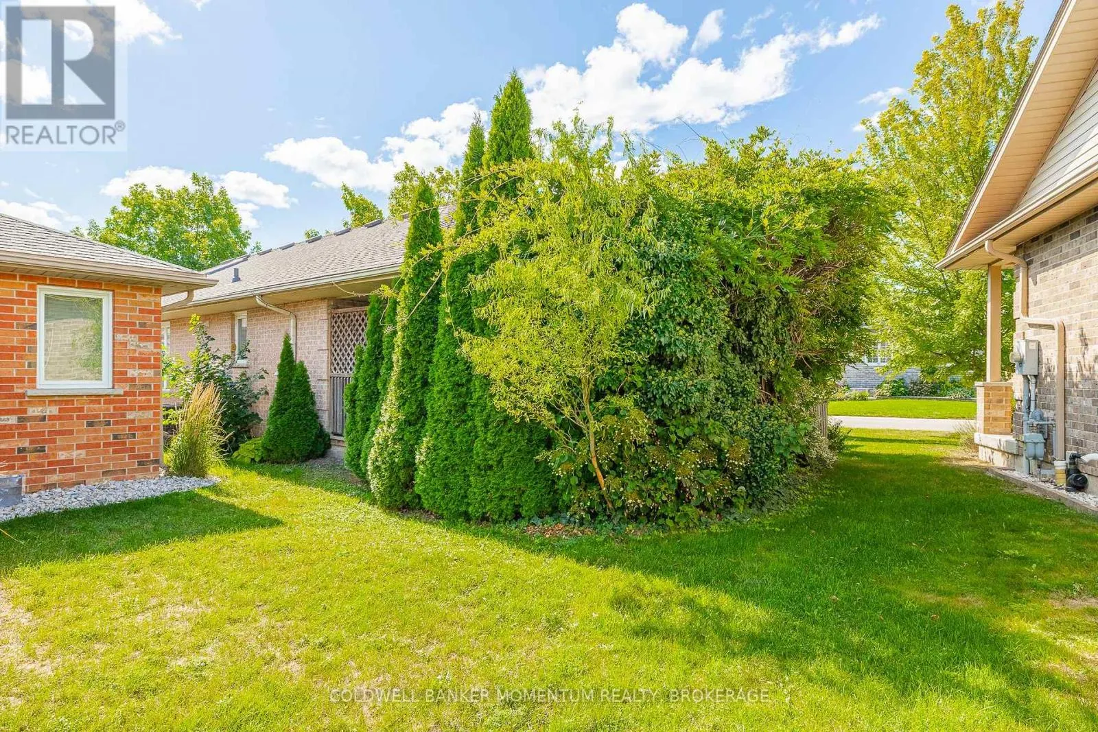3901 RAINBOW LANE