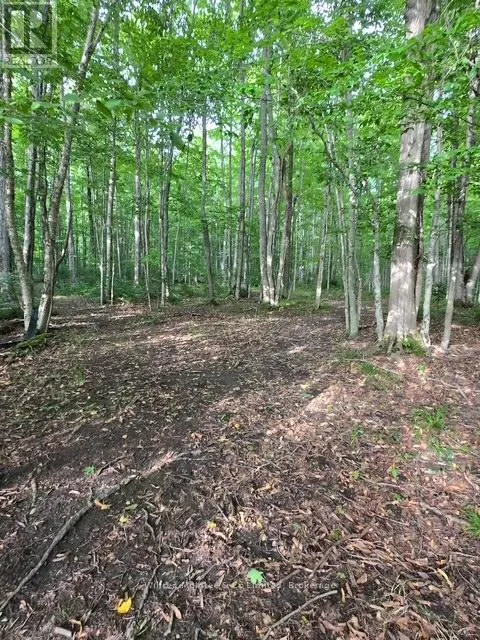 581650 9A SIDE ROAD