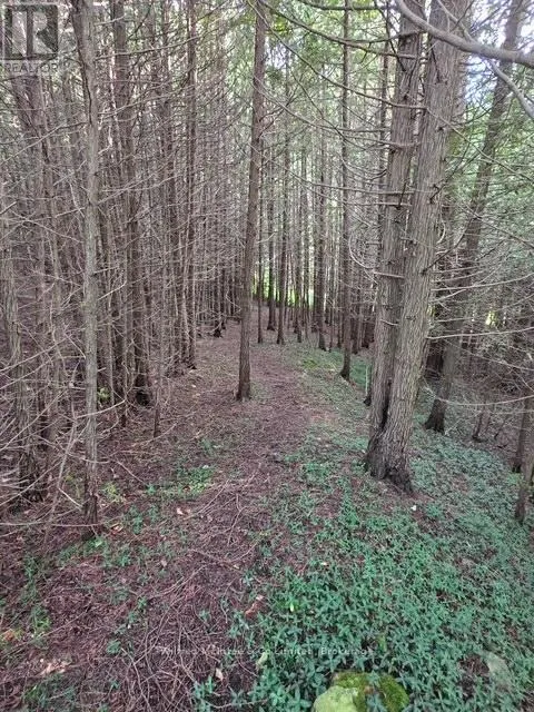 581650 9A SIDE ROAD