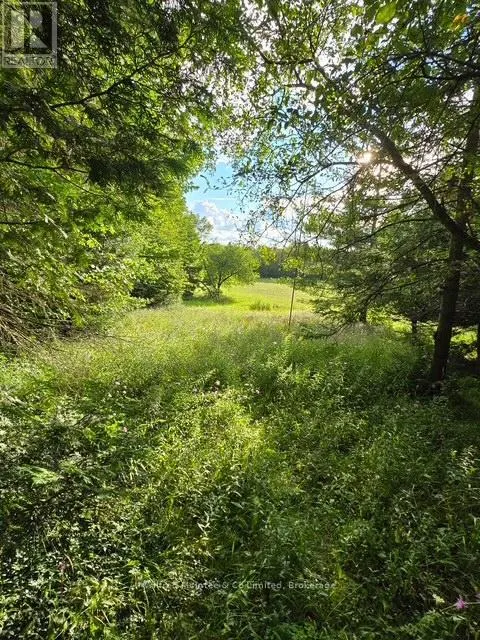 581650 9A SIDE ROAD