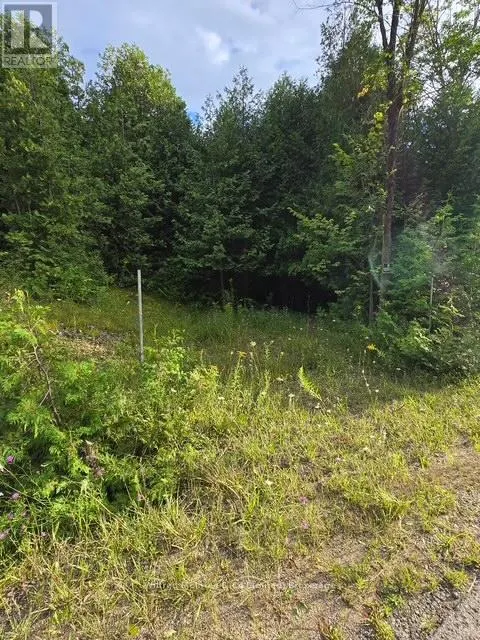 581650 9A SIDE ROAD