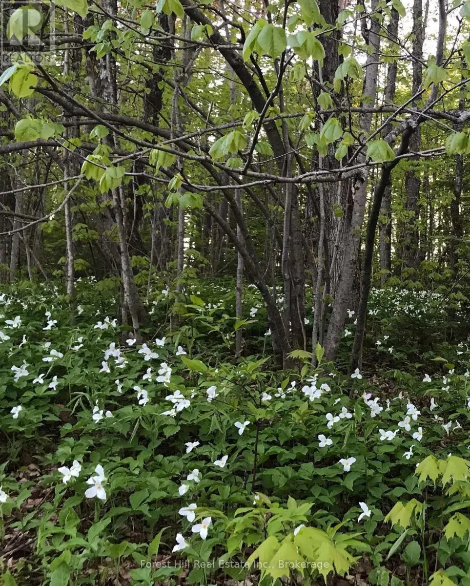 6 TRILLIUM LANE